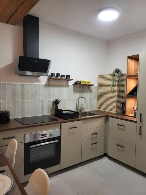 O Bon'Endroit - Appartement Confort - Centre Ville Вьен Экстерьер фото